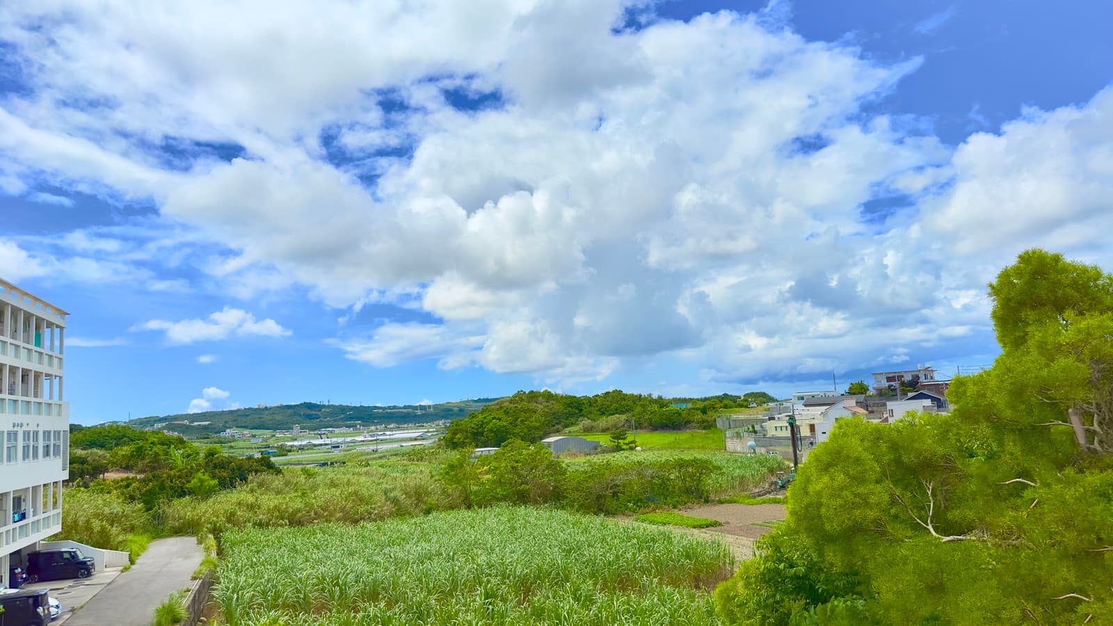株式会社えがおイメージ画像